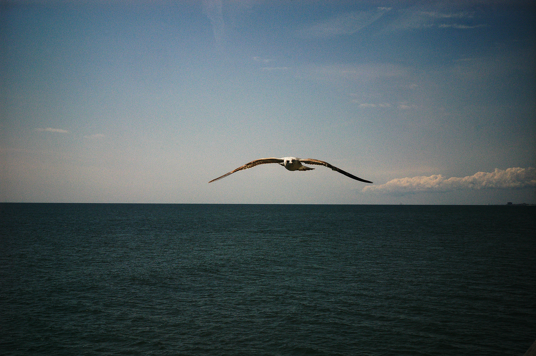 Boardwalk, Atlantic City, New Jersey, August 2008