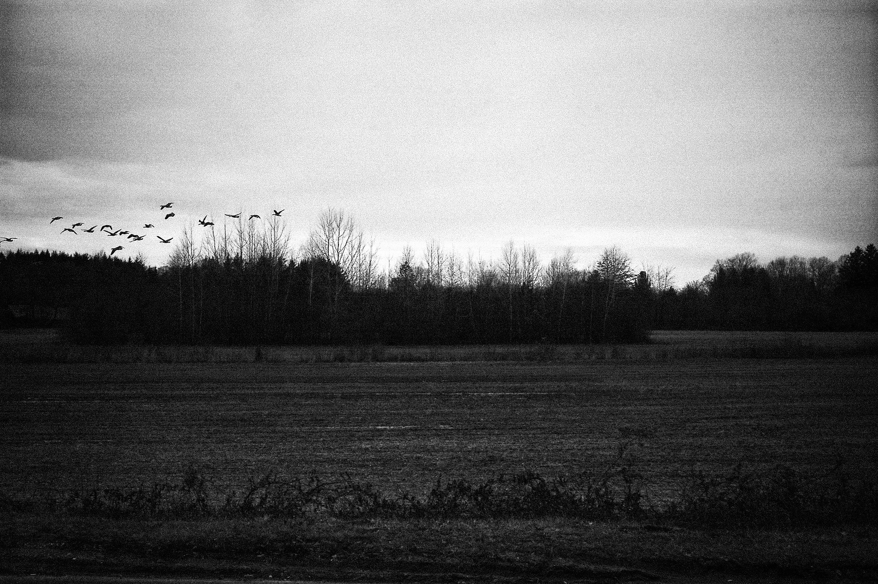 Manalapan, New Jersey, January 2010