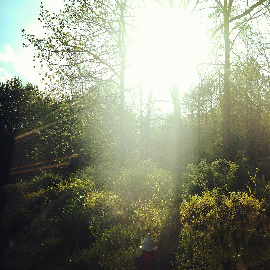 Manalapan, New Jersey, May 2012